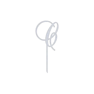 This elegant 'C' monogram cake topper features a swirling script design, crafted from high-quality laser-cut aluminum. It has a natural aluminum finish, providing a sleek, metallic look. Perfect for adding a sophisticated touch to wedding, anniversary, or birthday cakes.